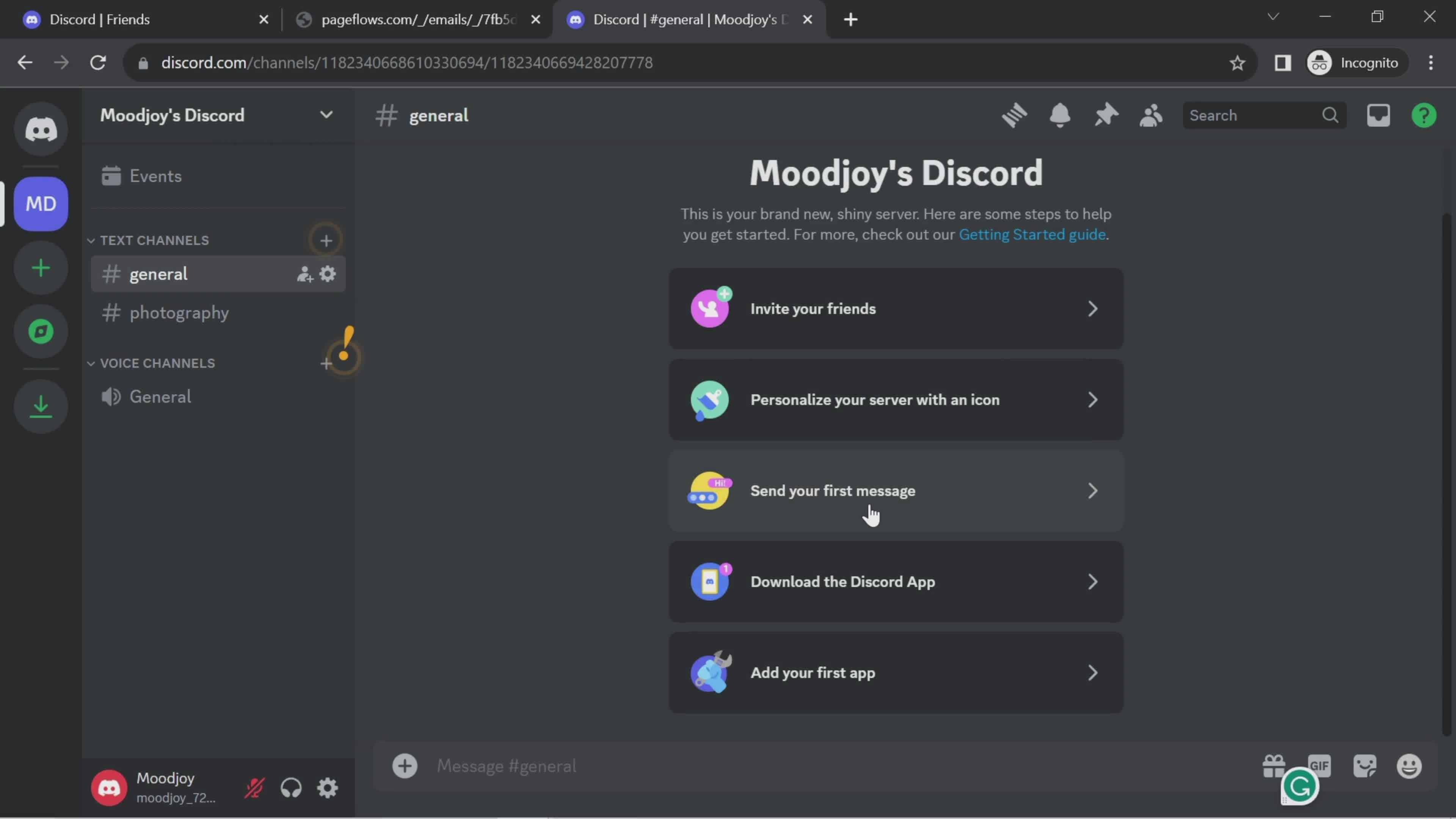 Discord dashboard screenshot