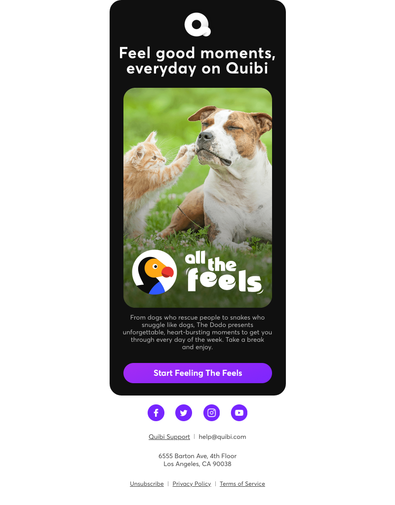 Quibi - Animals make everything better