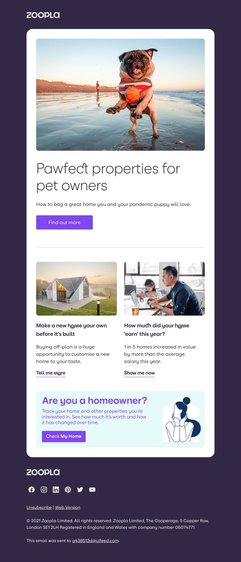 Zoopla - Pet-friendly rentals and how to find them