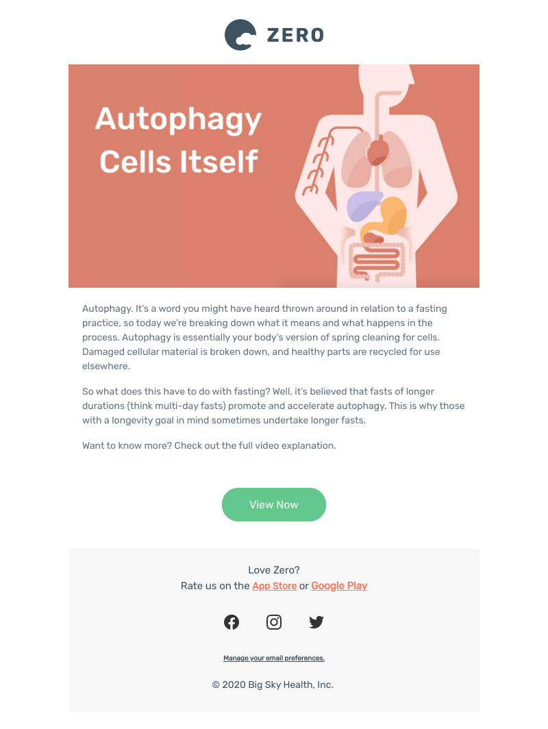 Zero - Autophagy Explained