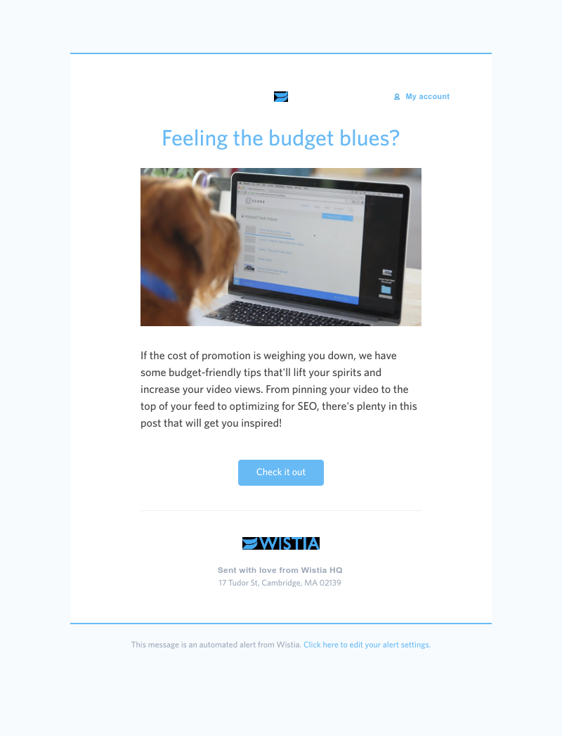 Wistia - Promote your videos without breaking the bank 💰