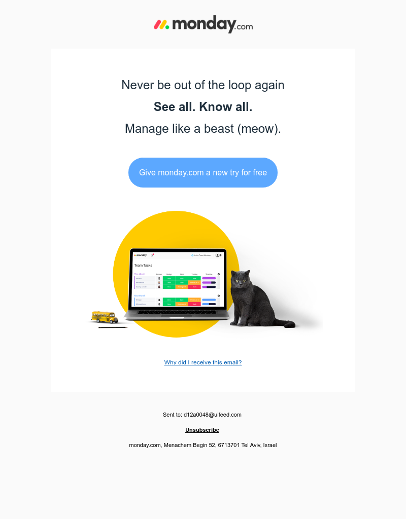 Monday - uifeed + Lions (cats) + Project Management