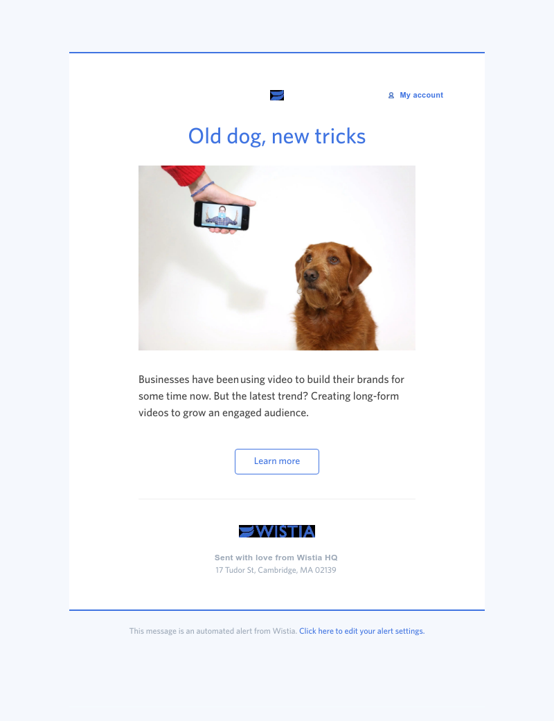 Wistia - Long-form video can pawsitively impact your business 🐾