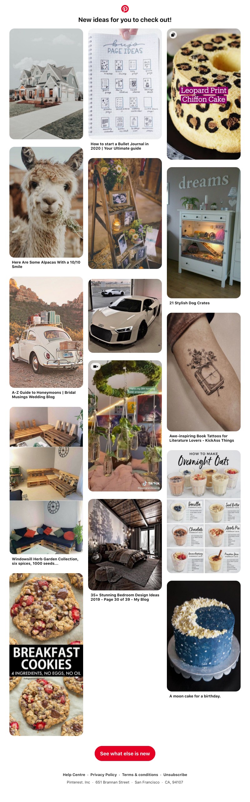 Pinterest - New ideas are ready for you