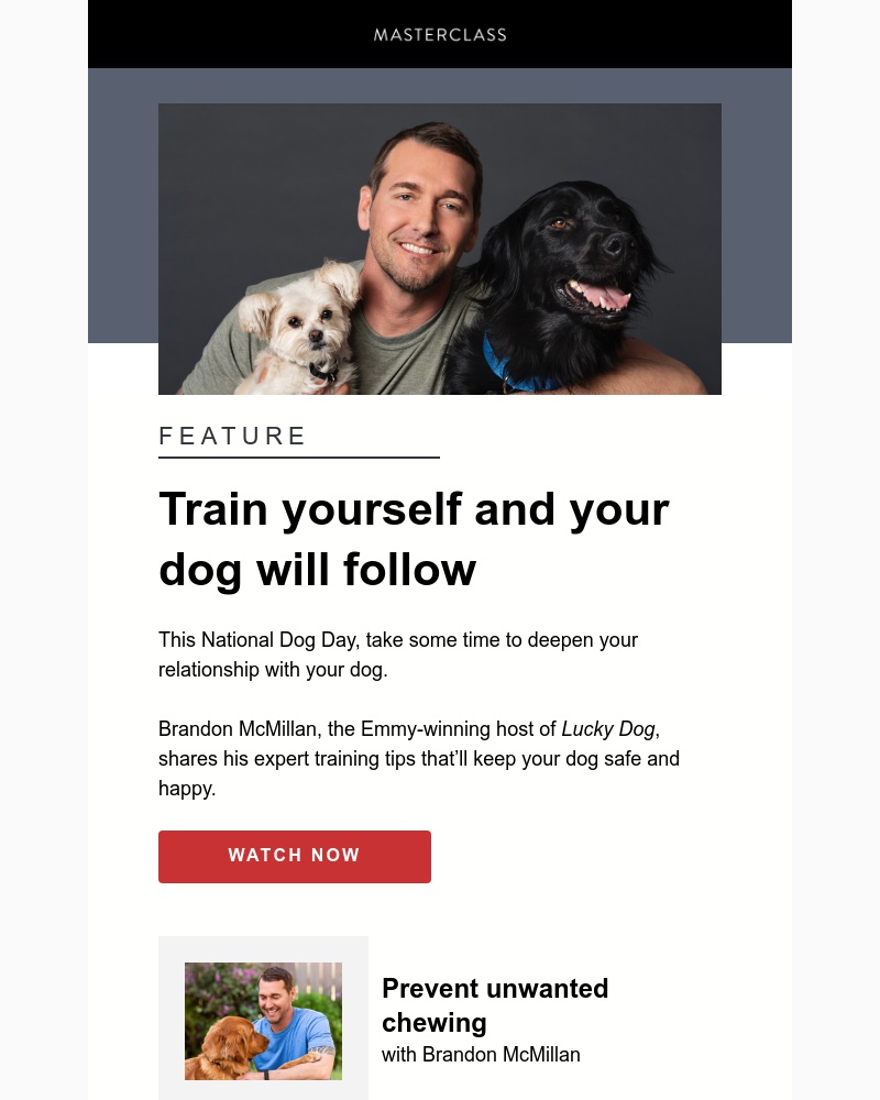  - Celebrate National Dog Day with Brandon McMillan