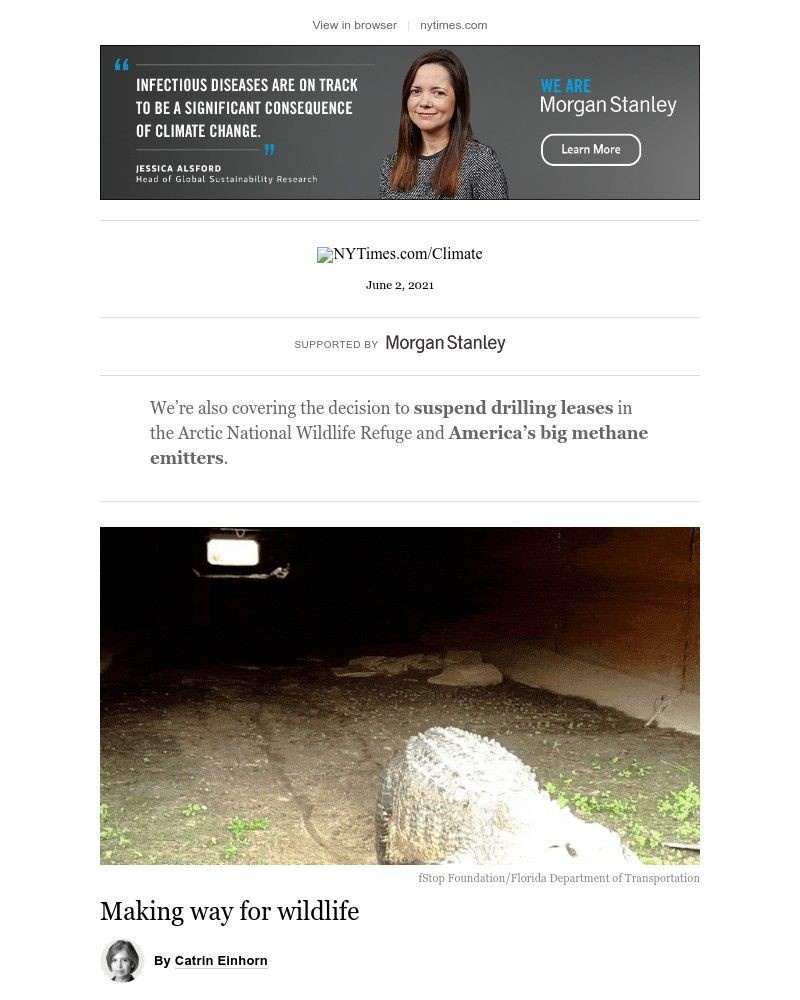 The New York Times - Climate Fwd: Good news (mostly) from wildlife videos