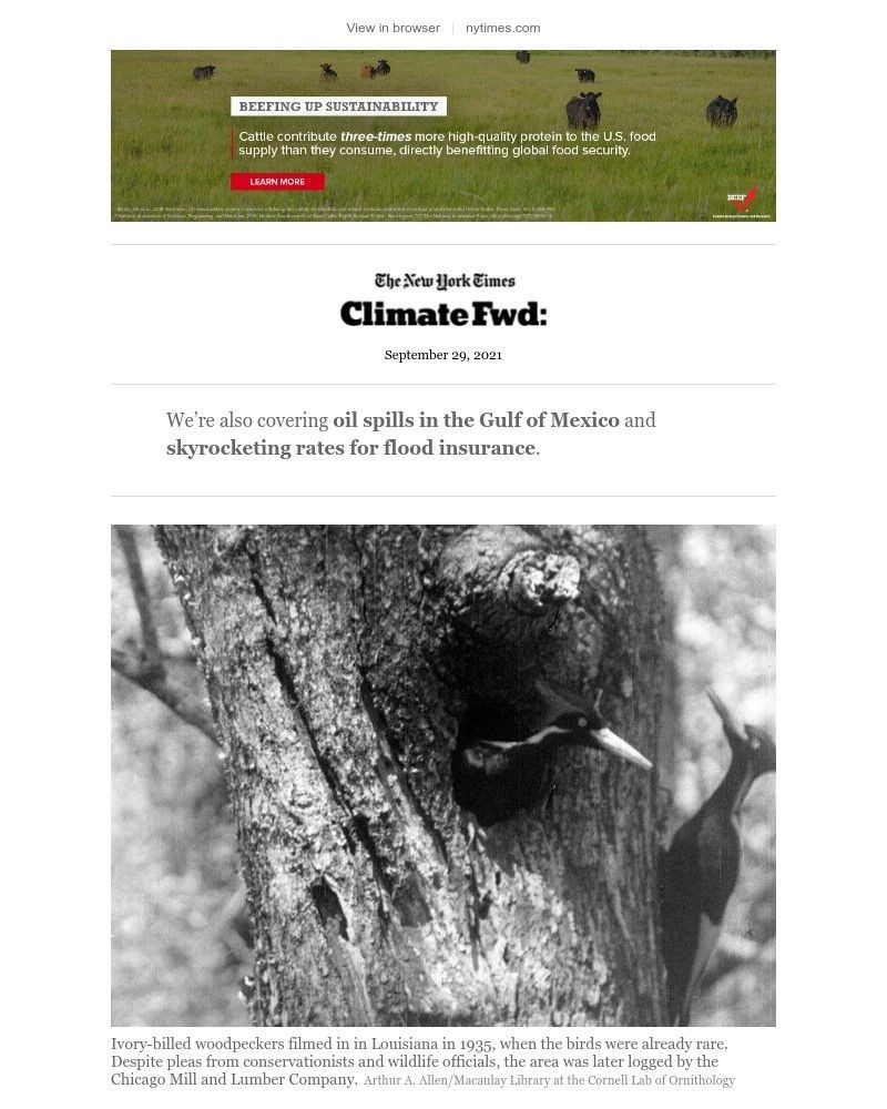 The New York Times - Climate Fwd: The global extinction crisis