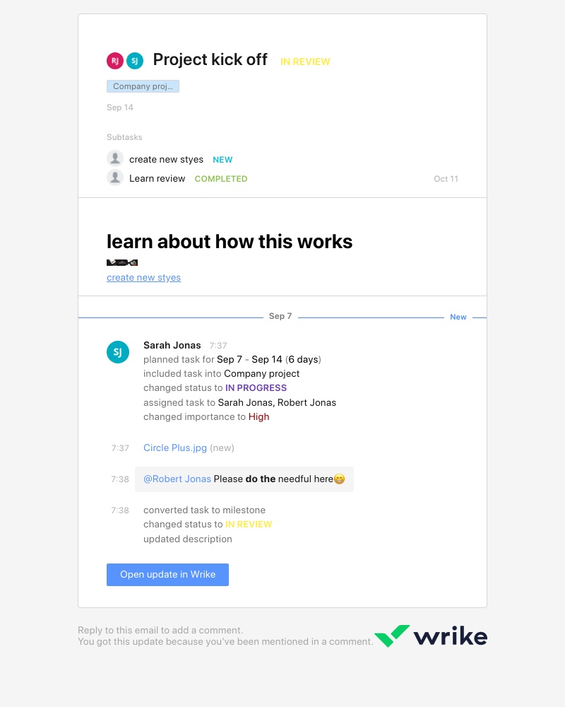 Wrike - [Company project 🚩] Project kick off