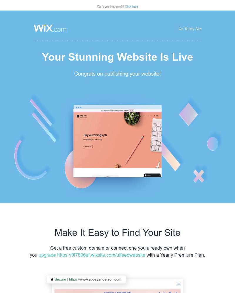 Wix - Congrats on Publishing Your Site! So What's Next?