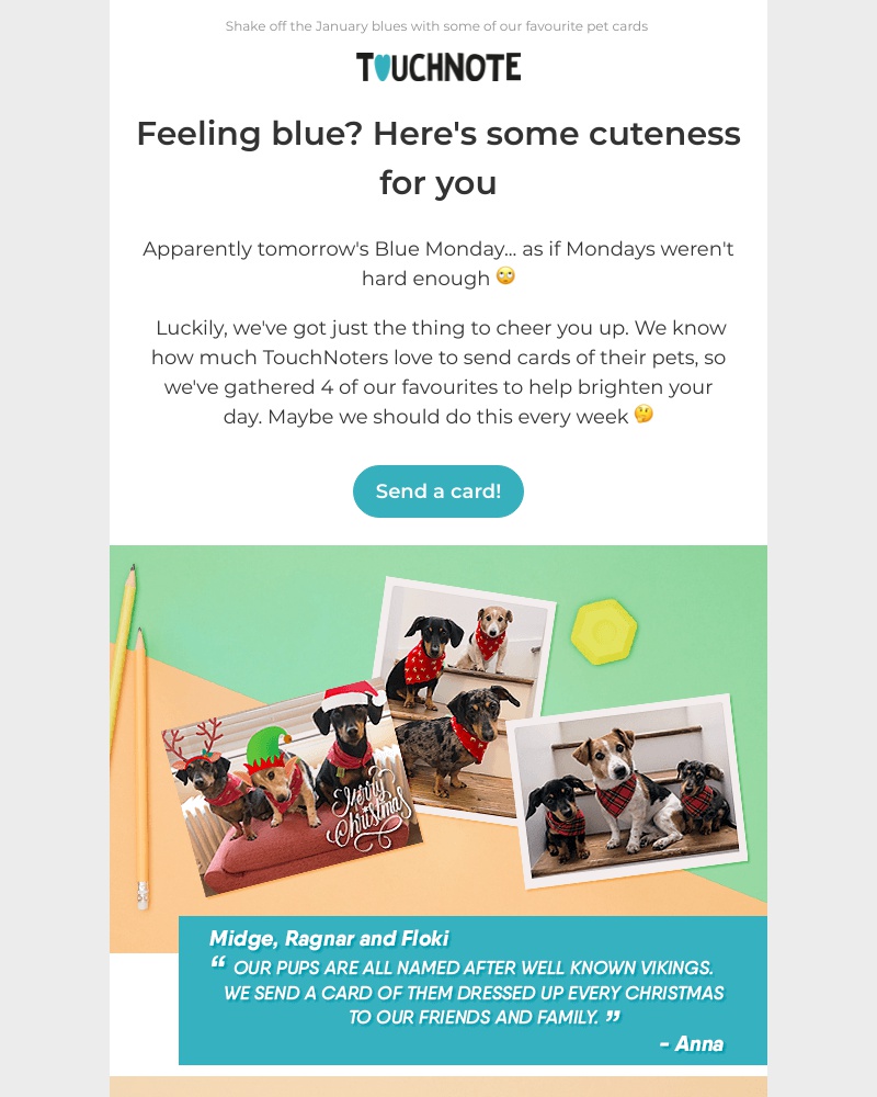 TouchNote - Cute animals make everything better, Sarah 🐶