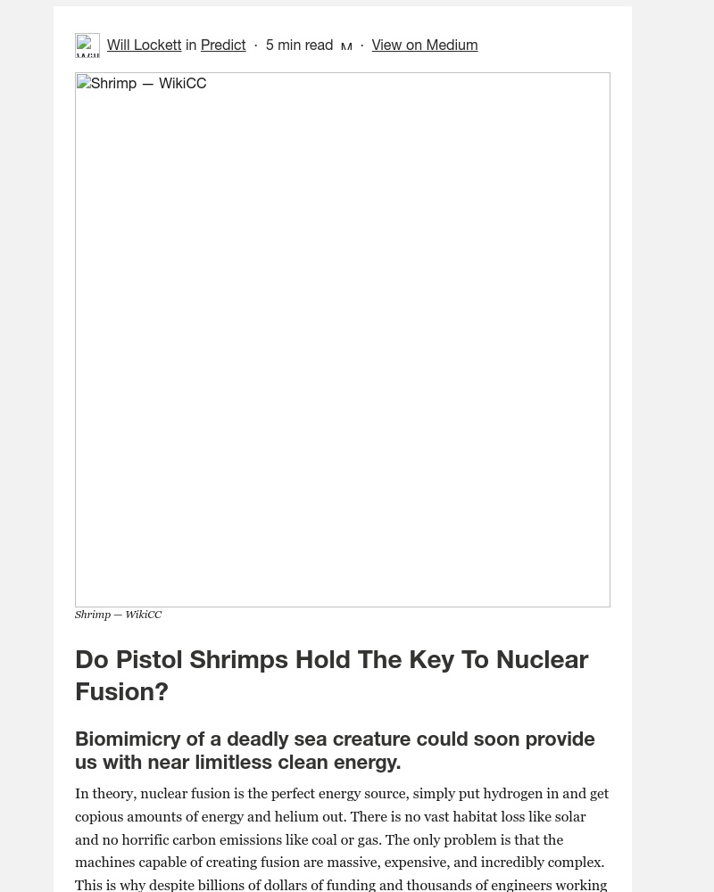 Medium - Do Pistol Shrimps Hold The Key To Nuclear Fusion?