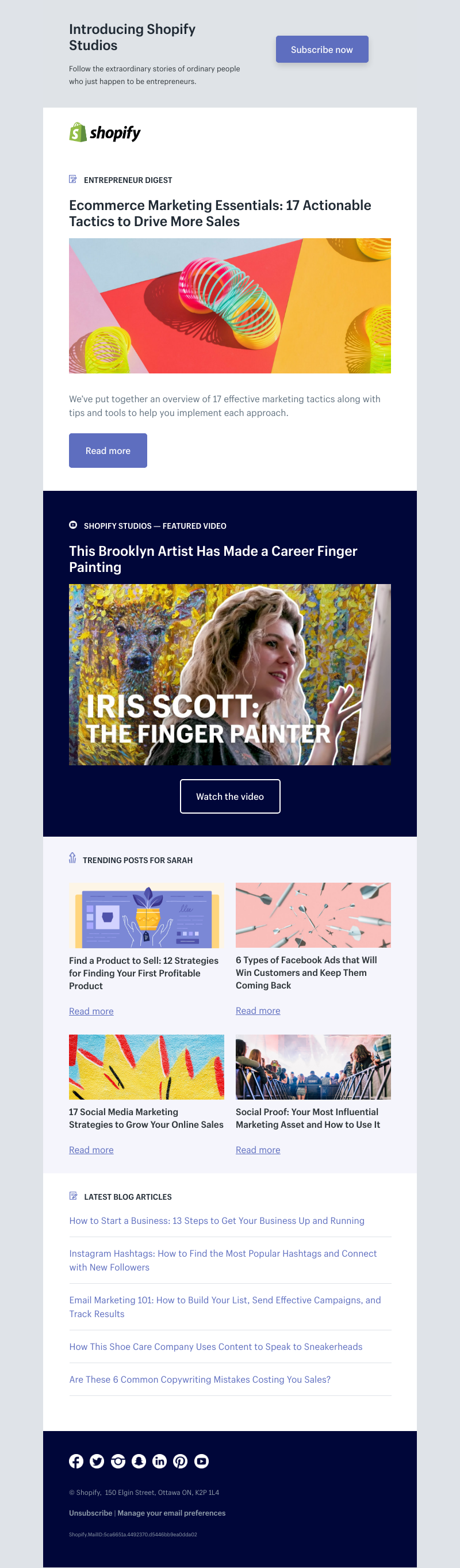 Shopify - Ecommerce Marketing Essentials: 17 Actionable Tactics to Drive More Sales
