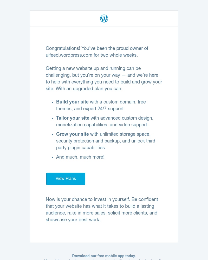 WordPress - Happy two-week anniversary! Here’s what to do next on your website.