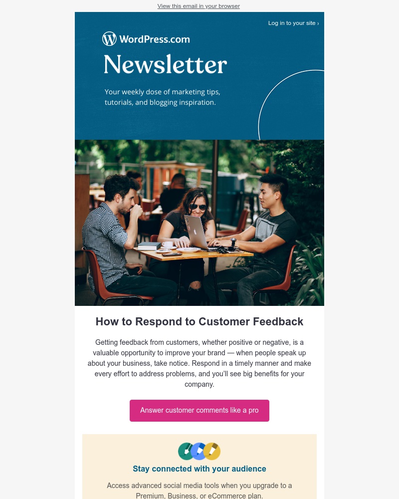 WordPress - How do you respond to customer feedback?
