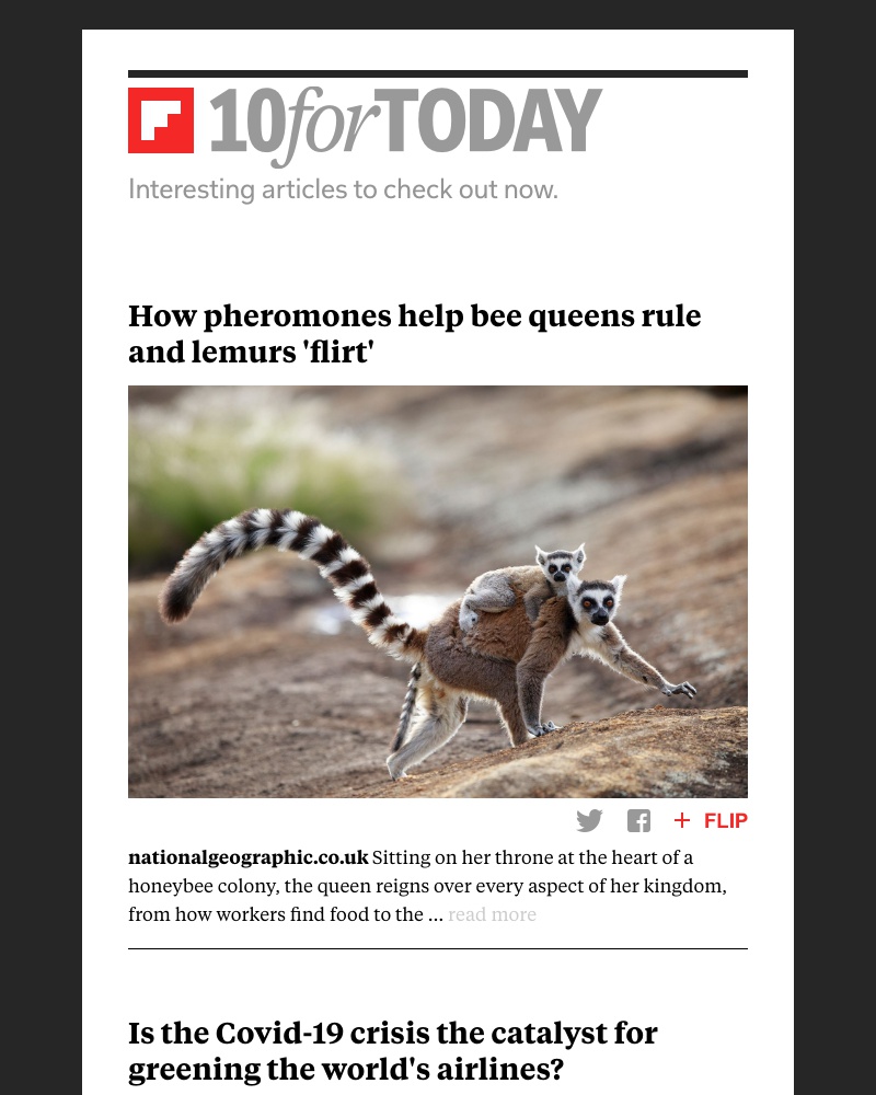 Flipboard - How pheromones help bee queens rule