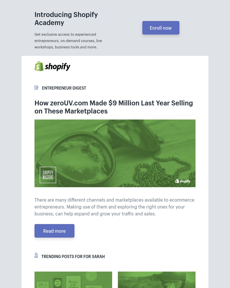 Shopify - How This Co. Made $9M in Sales