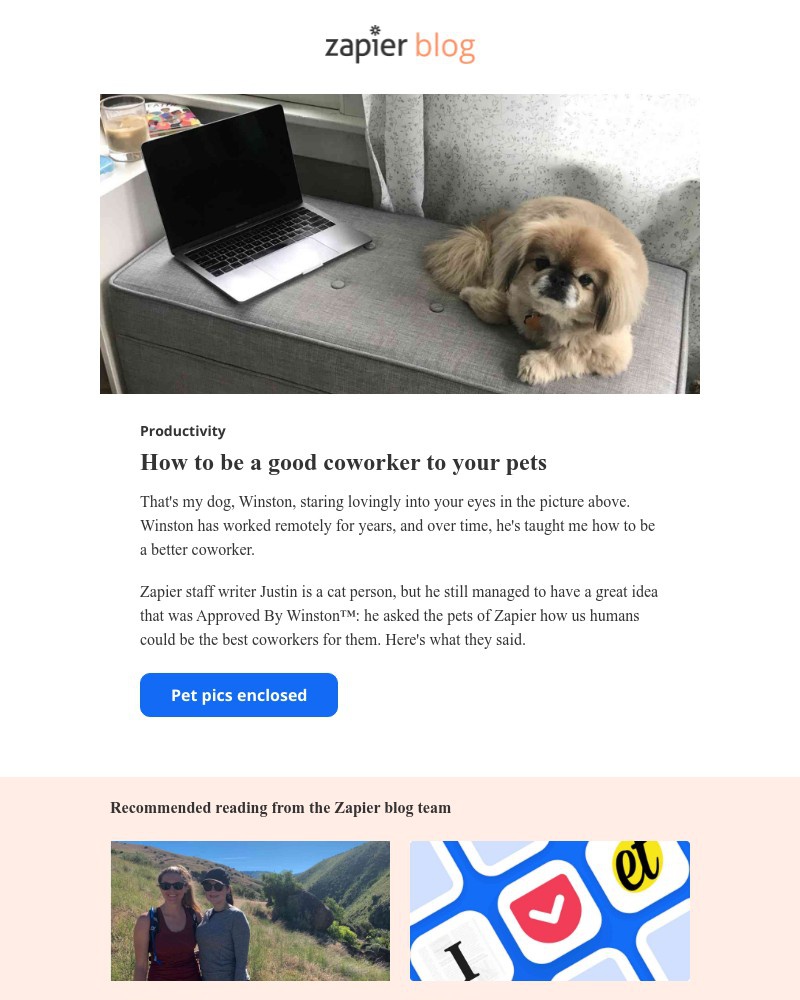 Zapier - How to be a good coworker to your pets