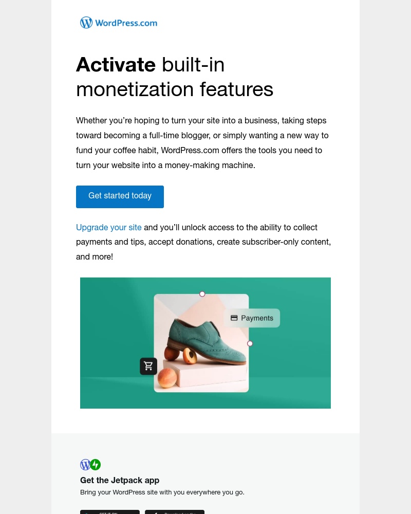 WordPress - How to make money with your website