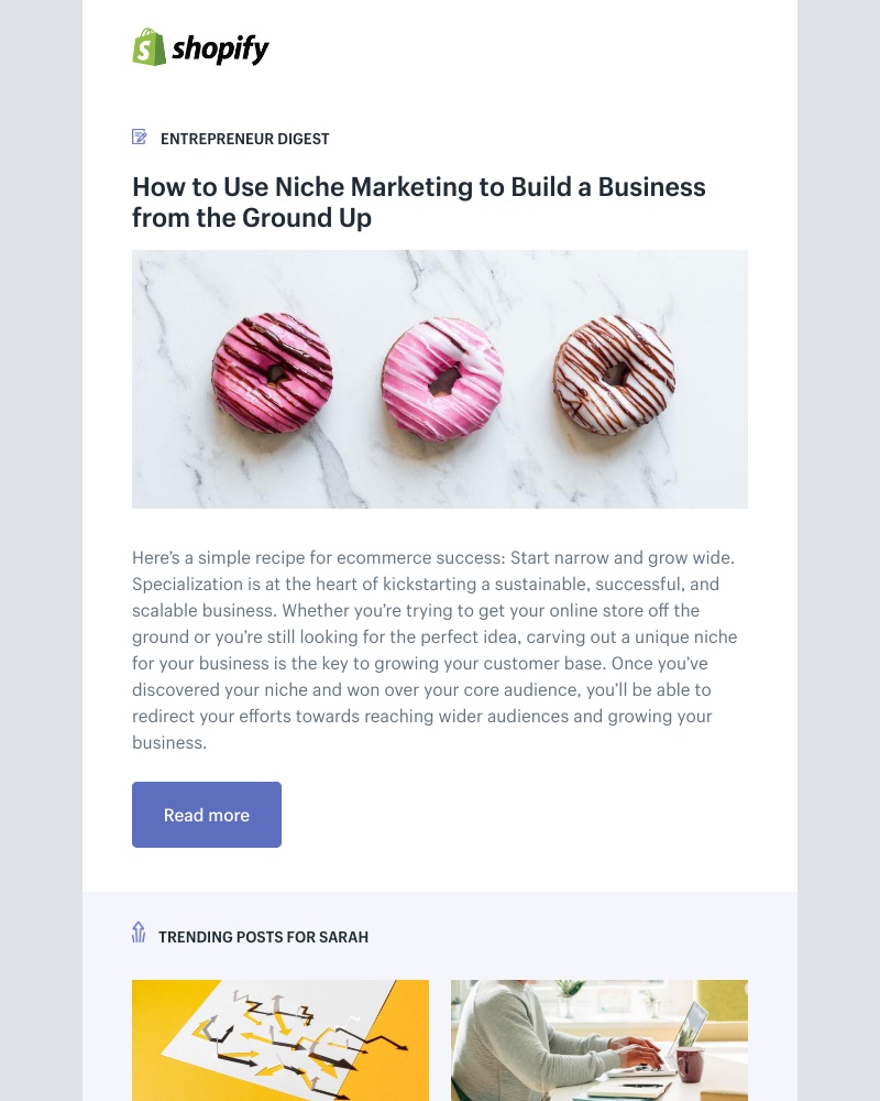 Shopify - How to Use Niche Marketing to Build a Business from the Ground Up