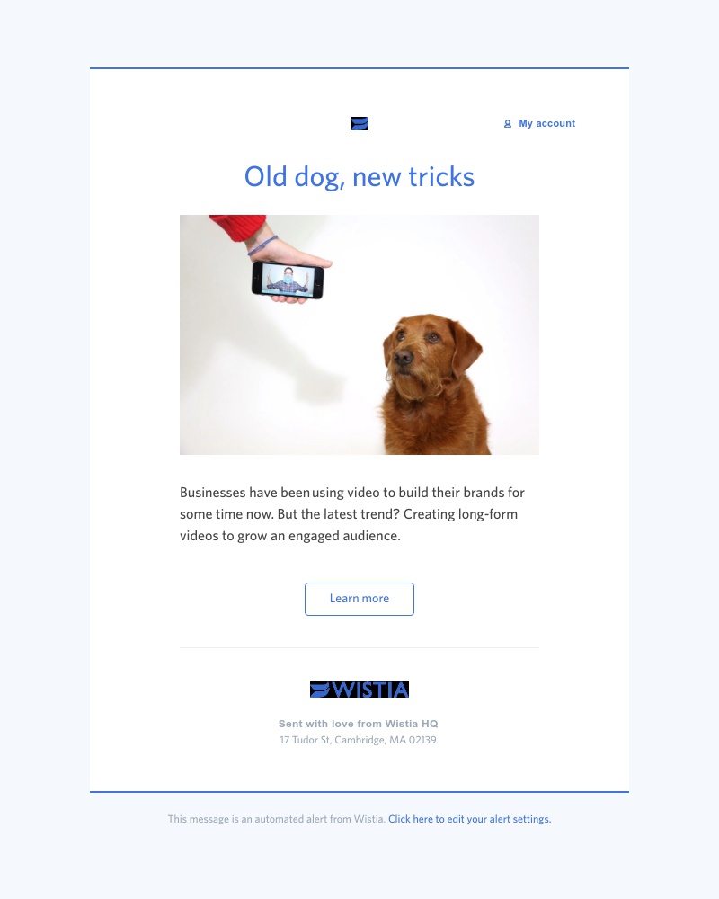 Wistia - Long-form video can pawsitively impact your business 🐾