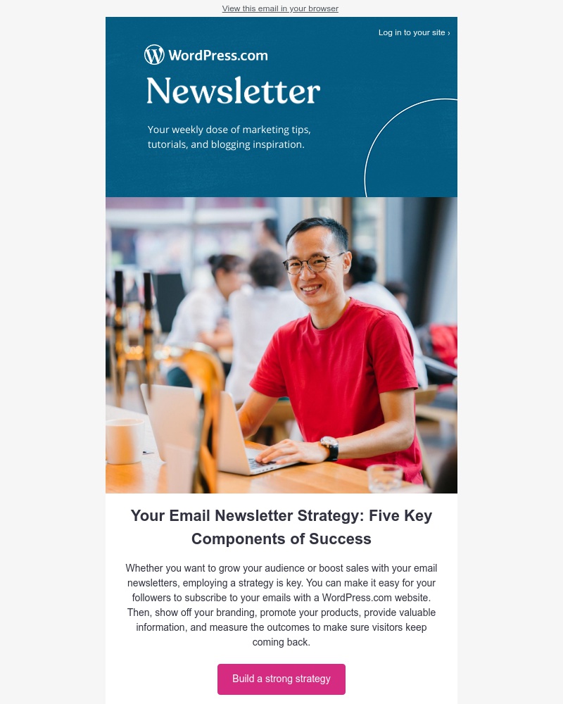 WordPress - Make every email newsletter a hit with your subscribers
