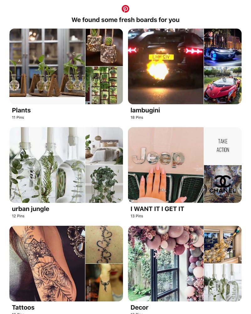 Pinterest - 📌 Plants, lambugini and 12 other boards like yours
