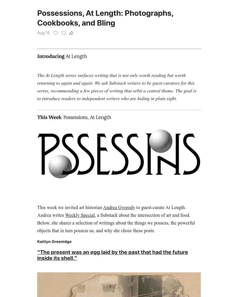 Substack - Possessions, At Length: Photographs, Cookbooks, and Bling