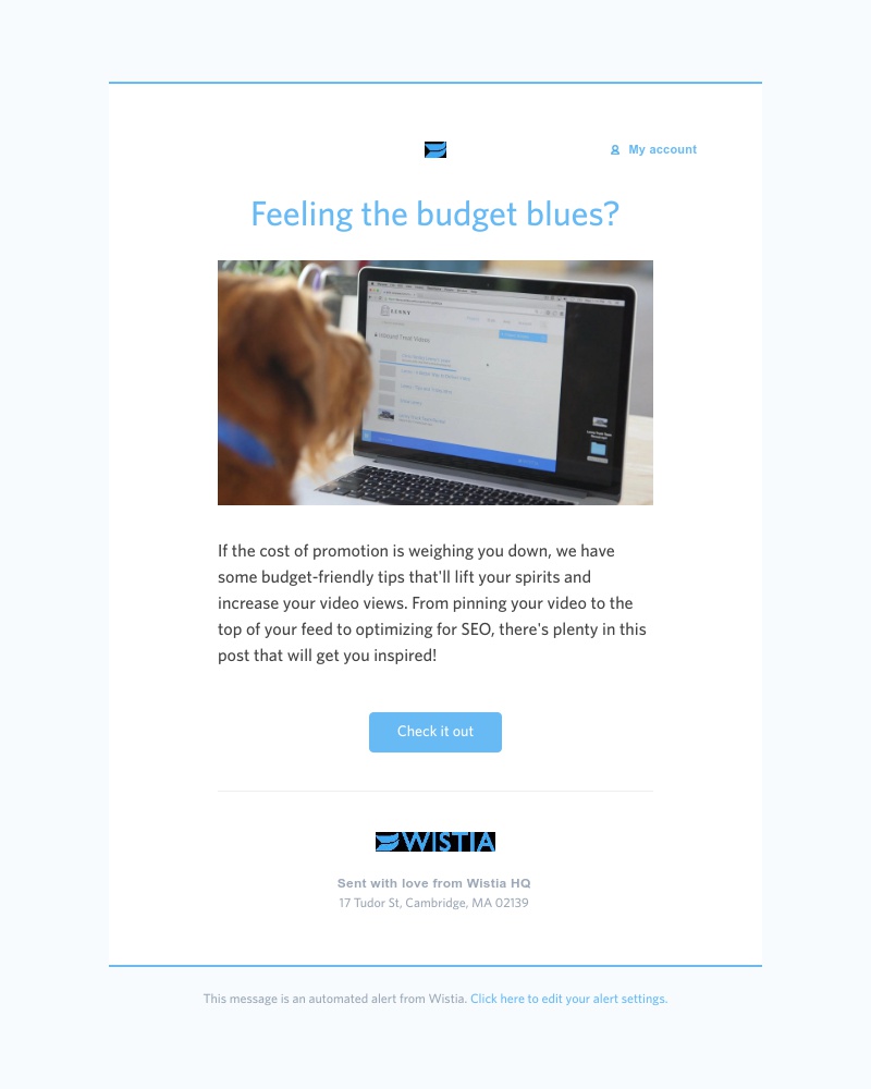 Wistia - Promote your videos without breaking the bank 💰