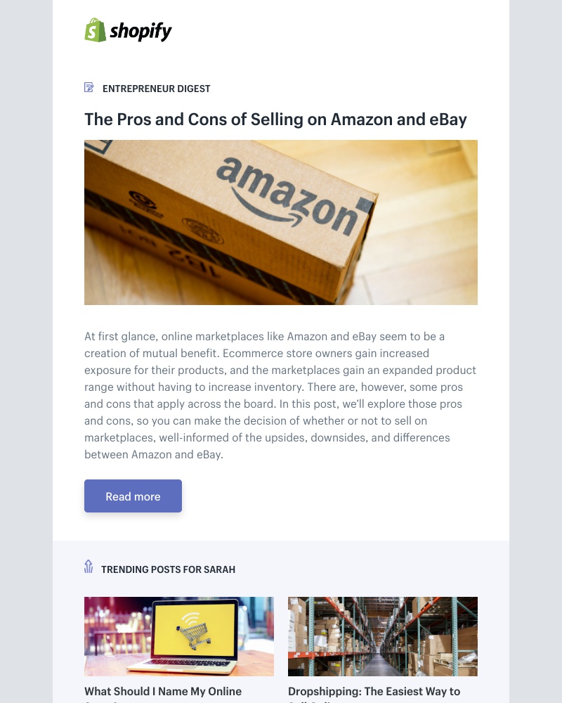 Shopify - The Pros and Cons of Selling on Amazon and eBay