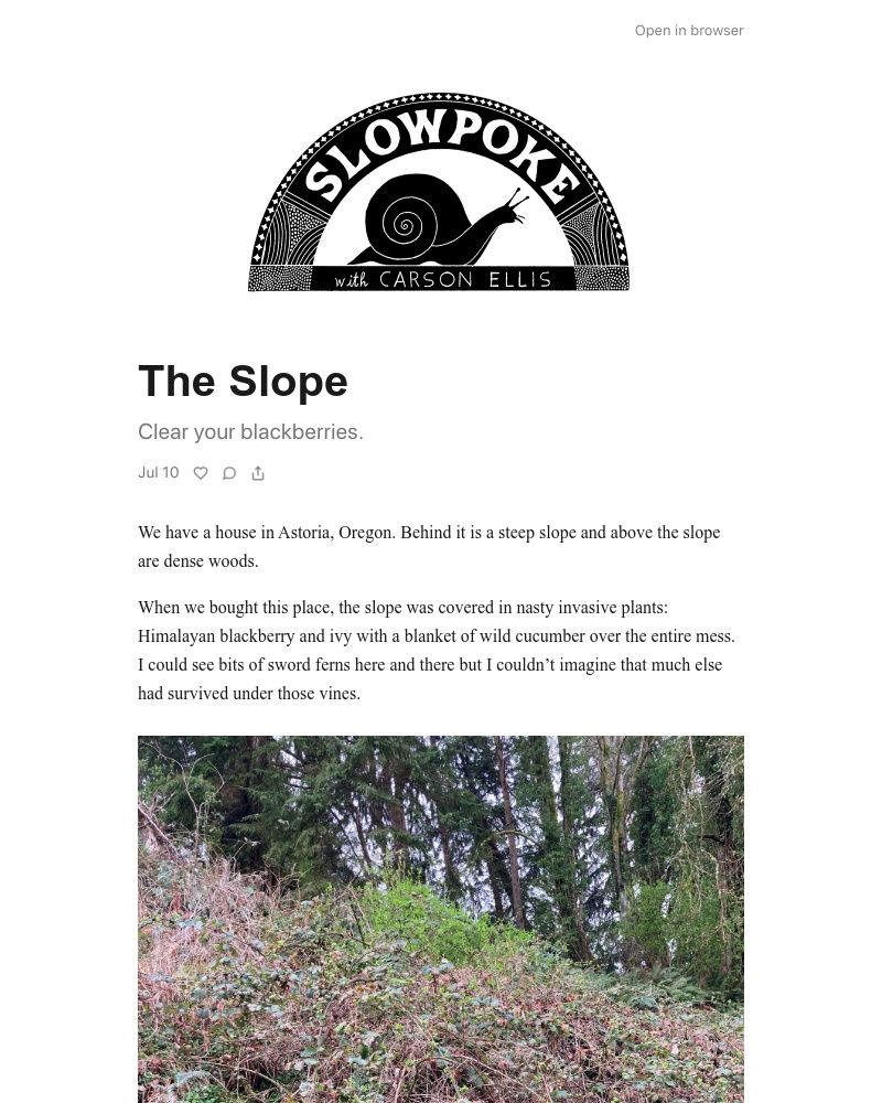 Substack - The Slope