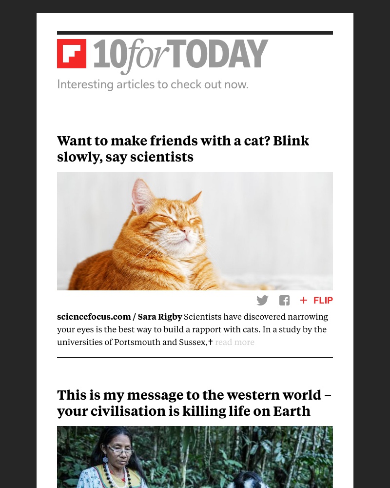 Flipboard - Want to make friends with a cat?