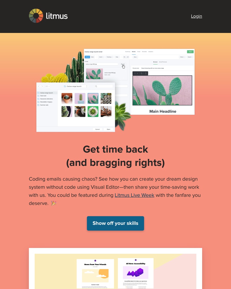 Litmus - Ways to save you time (and grief)