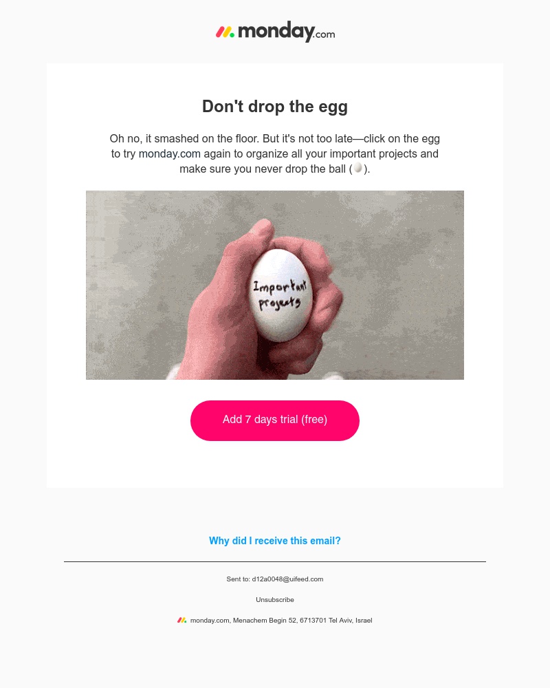 Monday - What makes this egg different from all other eggs