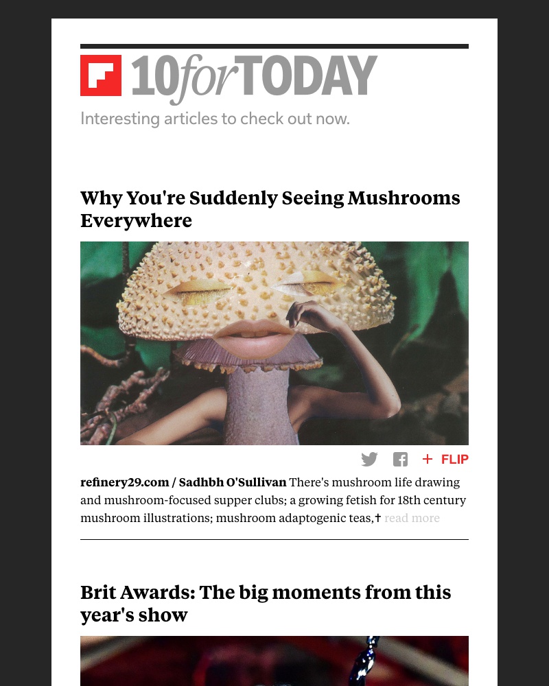 Flipboard - Why you’re suddenly seeing mushrooms everywhere