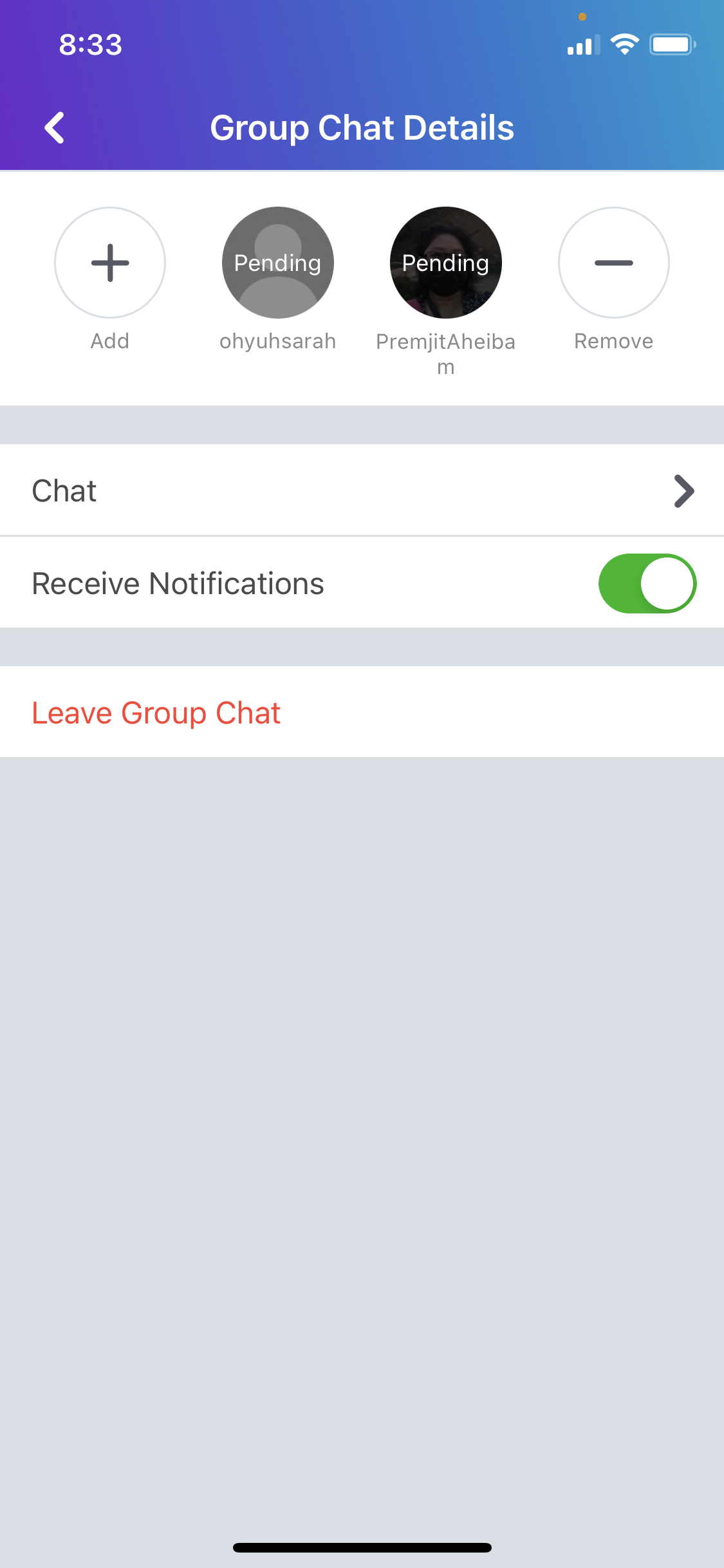 Screenshot of Chat details