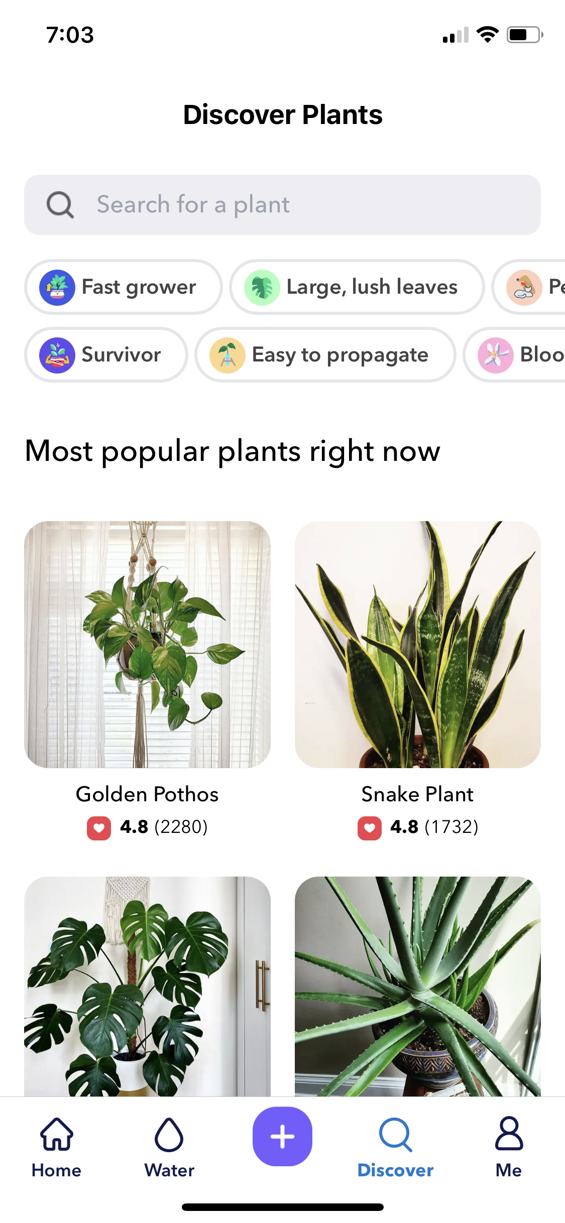 Screenshot of Discover