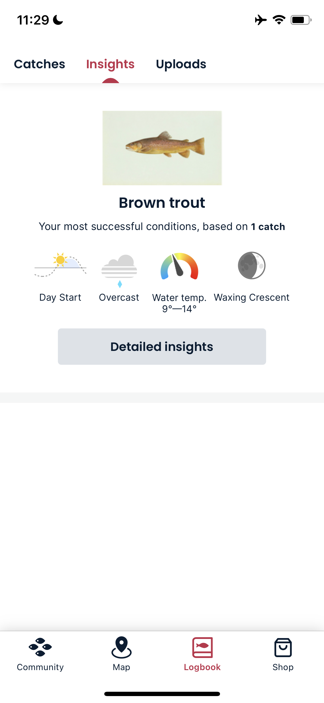 Screenshot of Insights