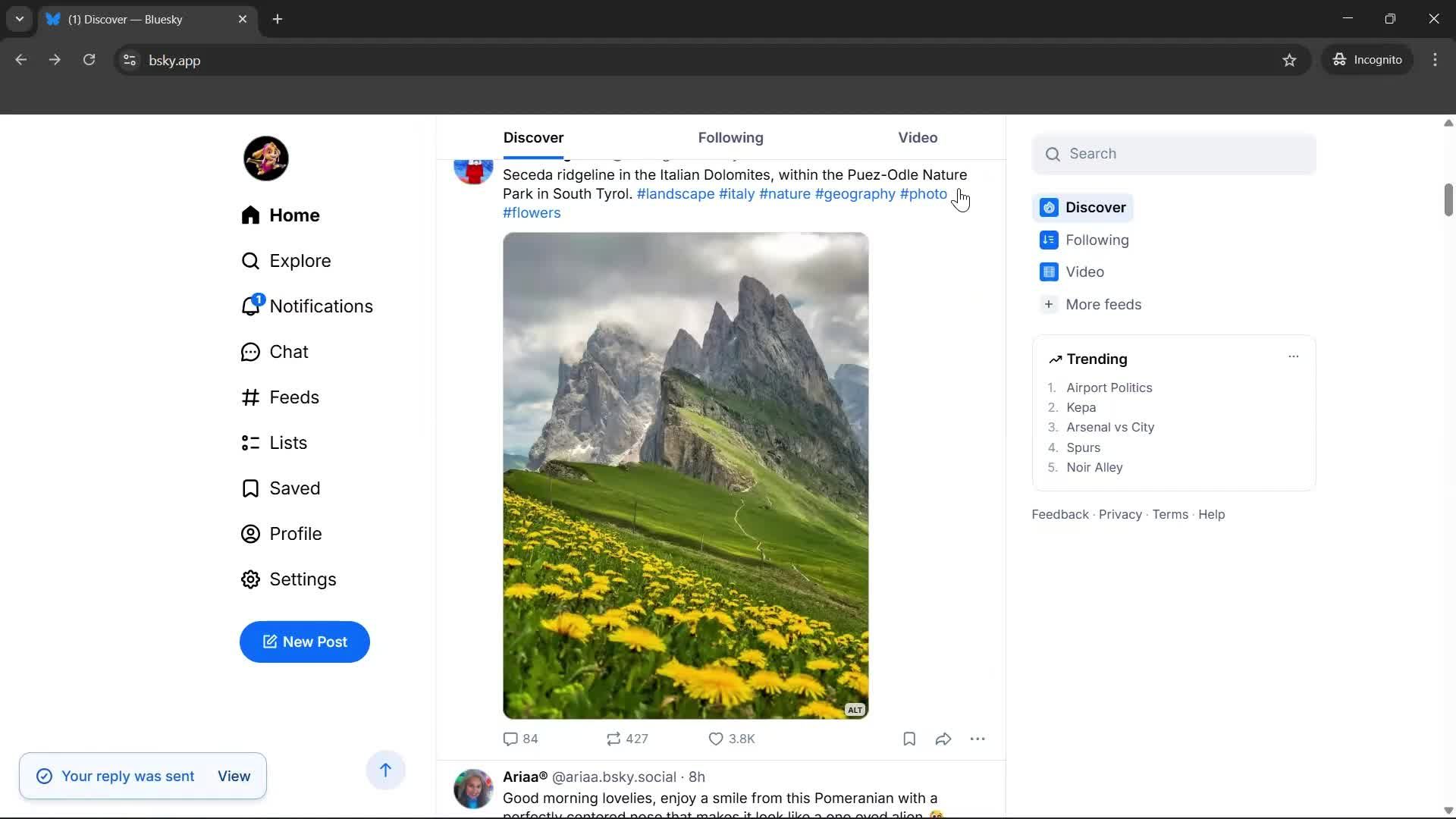 Commenting screenshot