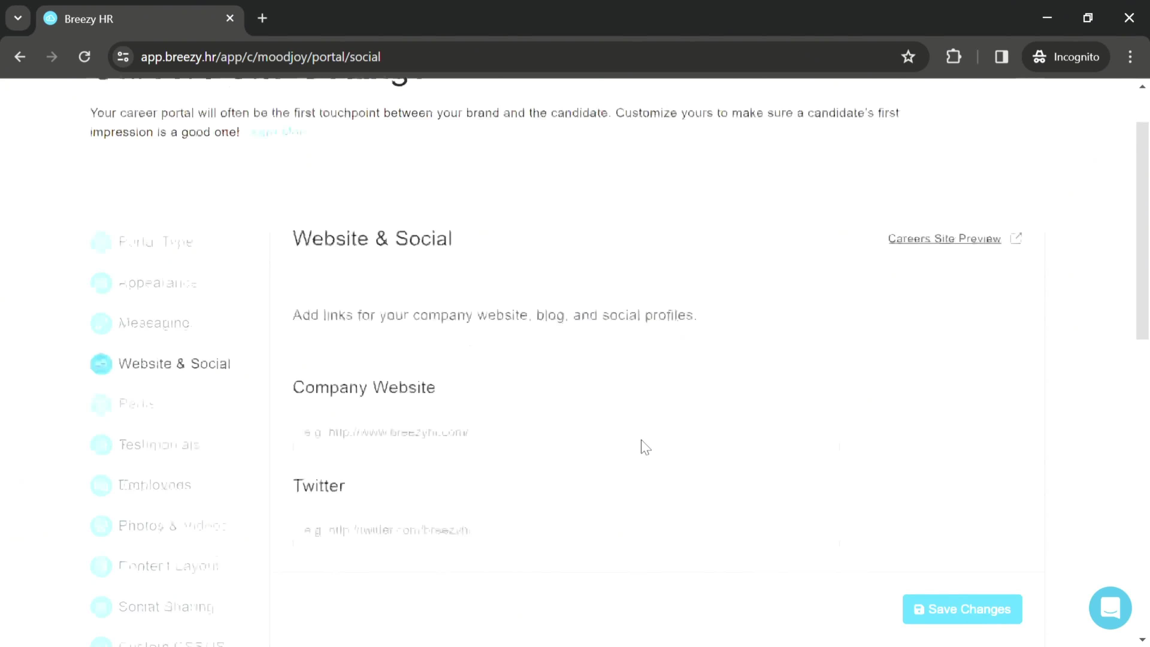 Adding company websites screenshot