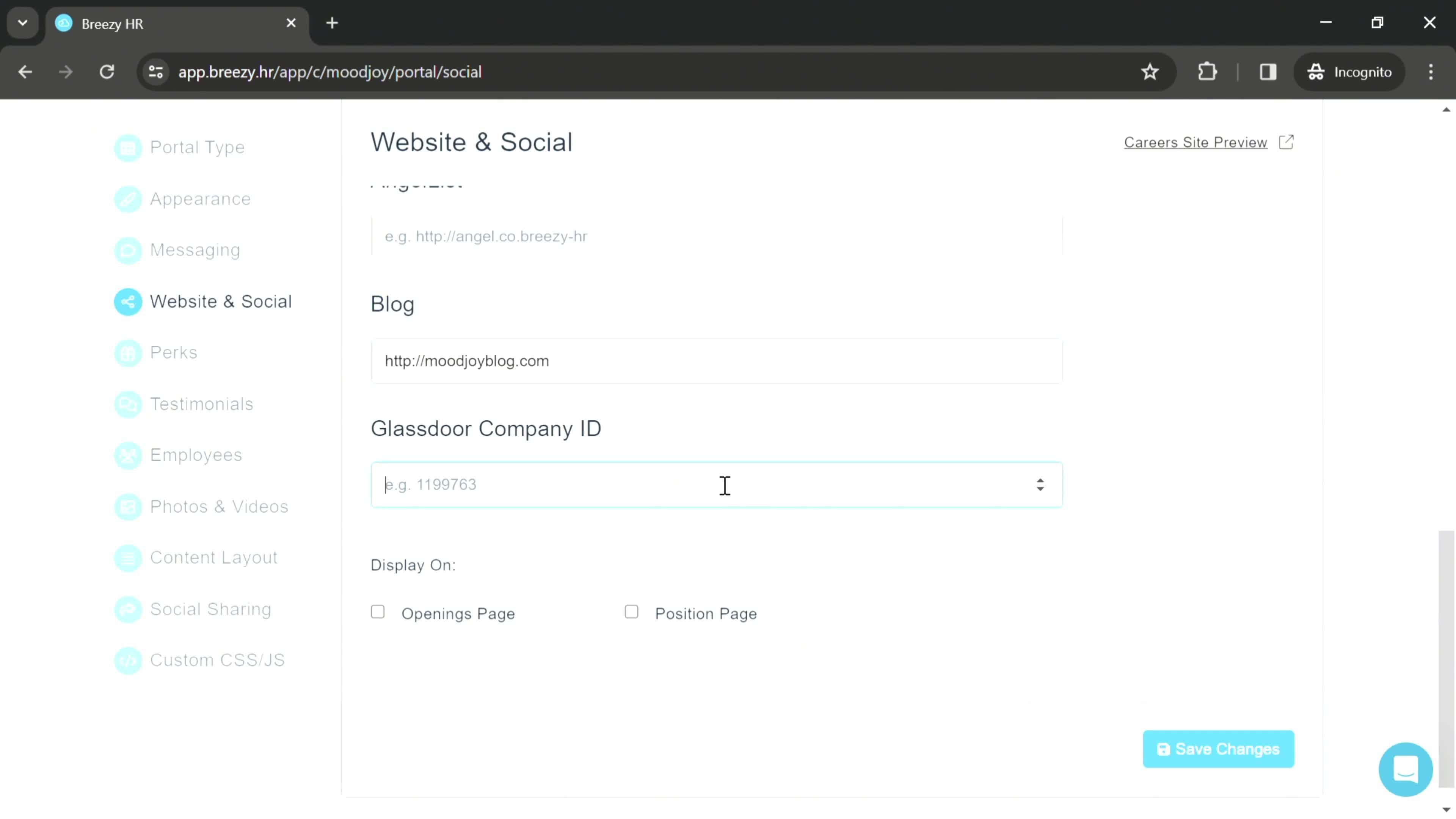 Adding company websites screenshot