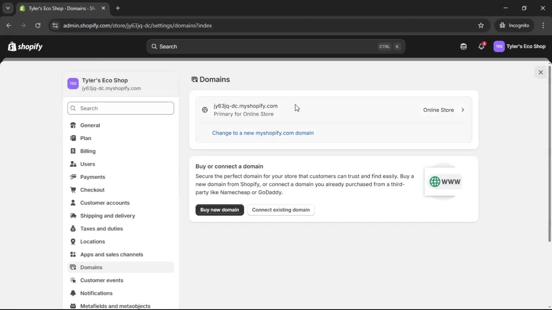 Adding a custom domain screenshot