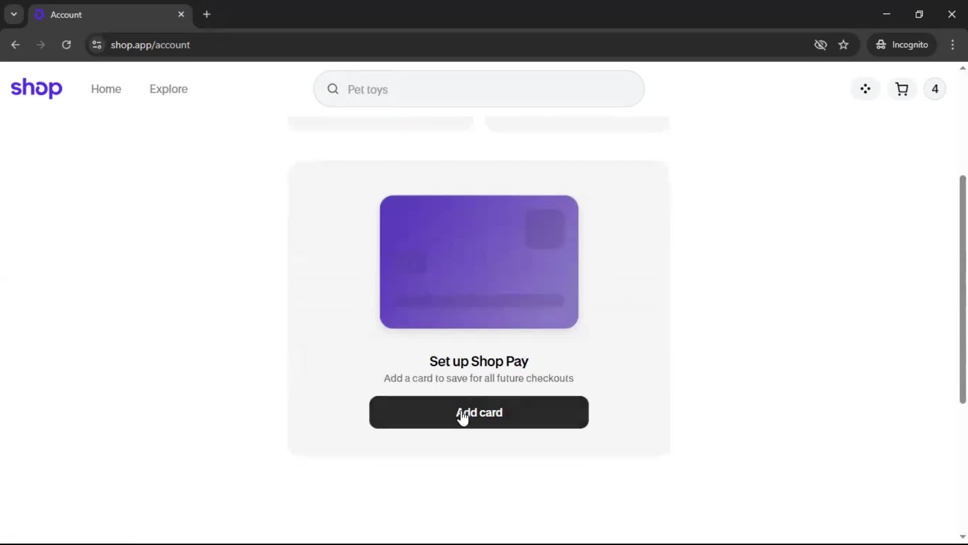 Adding payment details screenshot