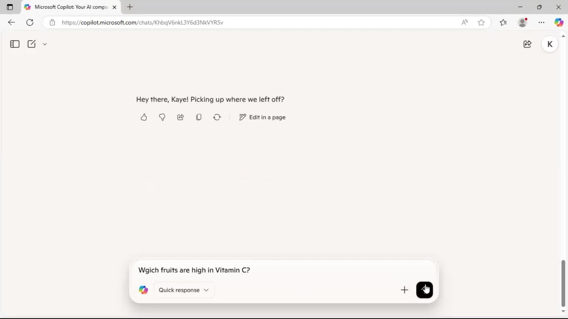 Chat bot screenshot