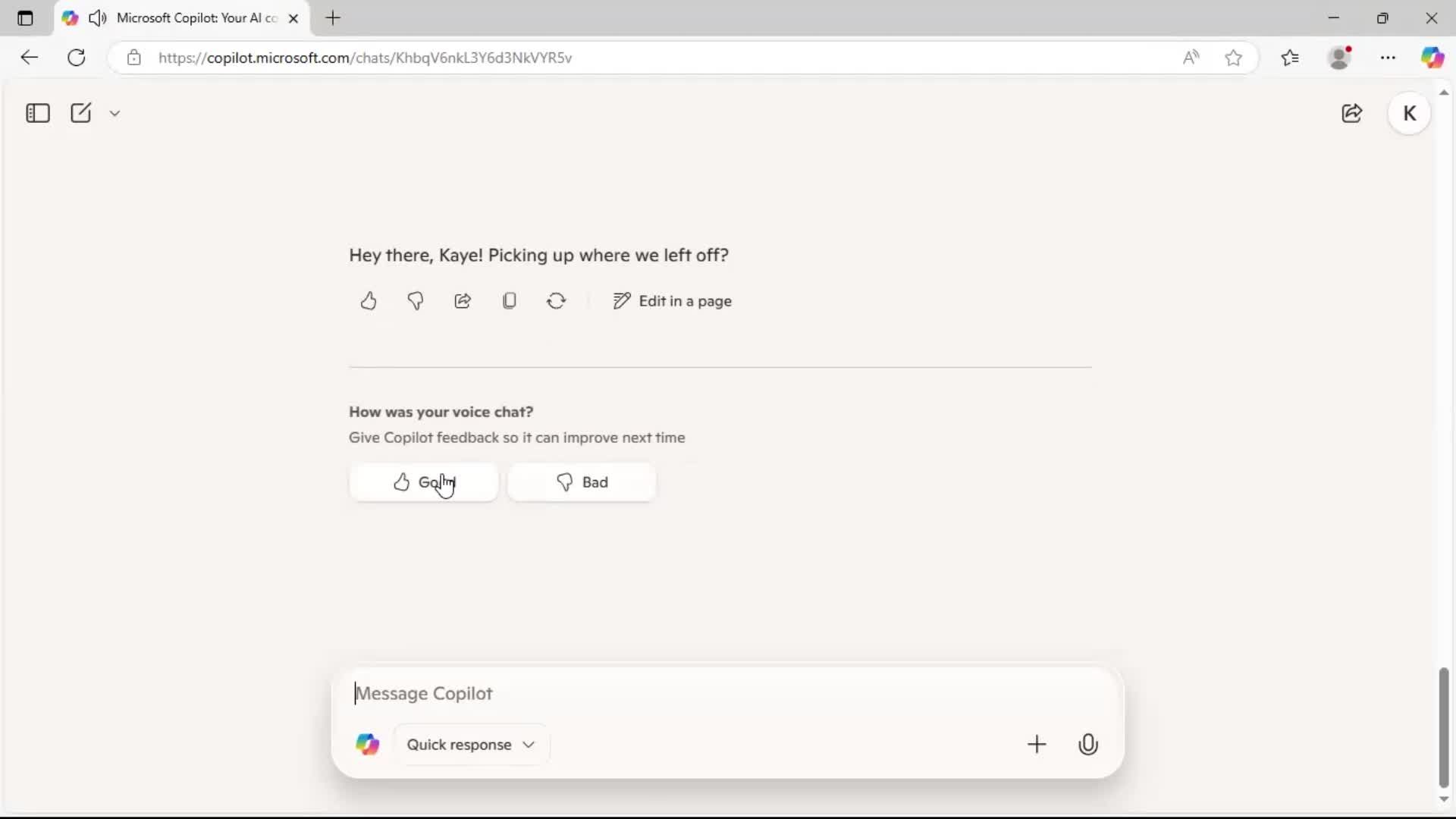 Chat bot screenshot