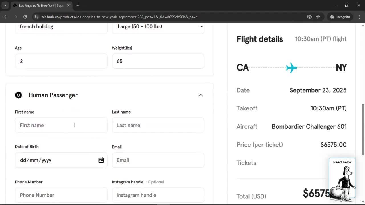 Booking a flight screenshot