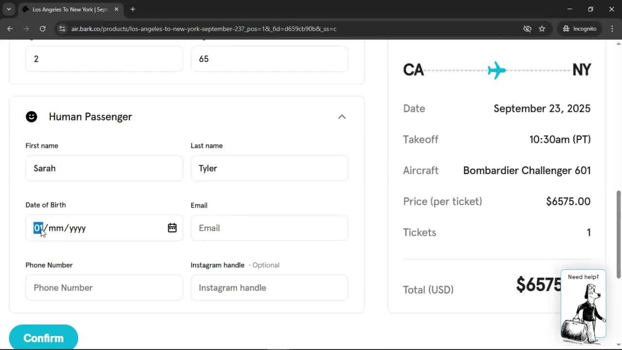 Booking a flight screenshot