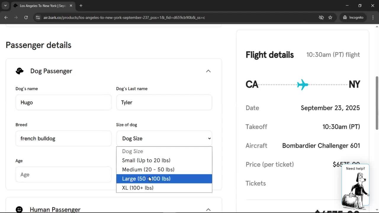 Booking a flight screenshot