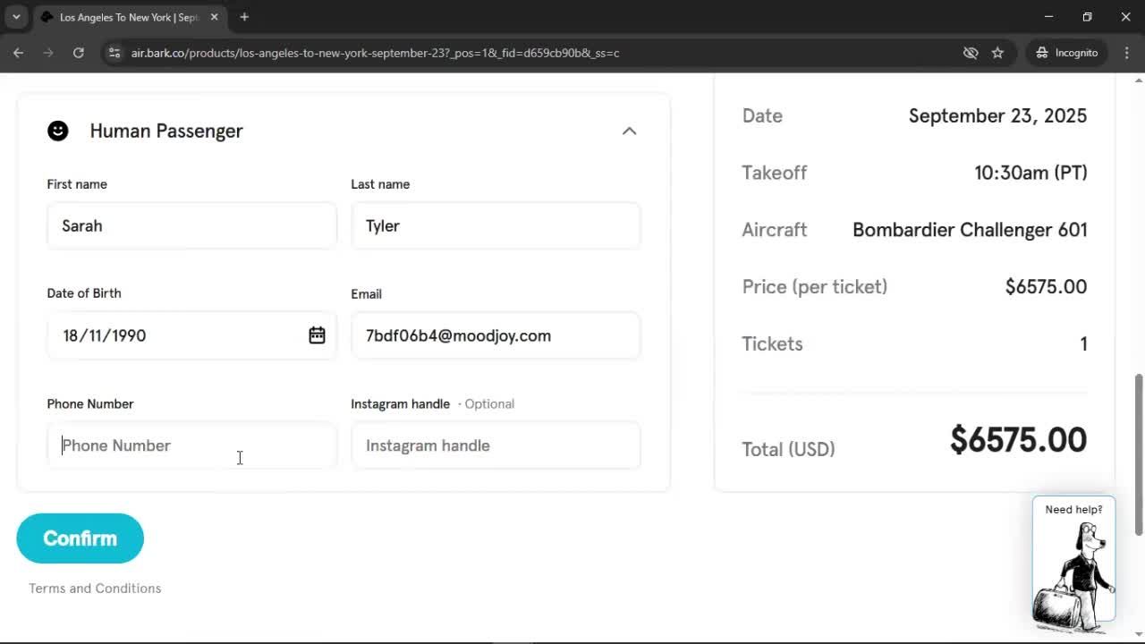 Booking a flight screenshot