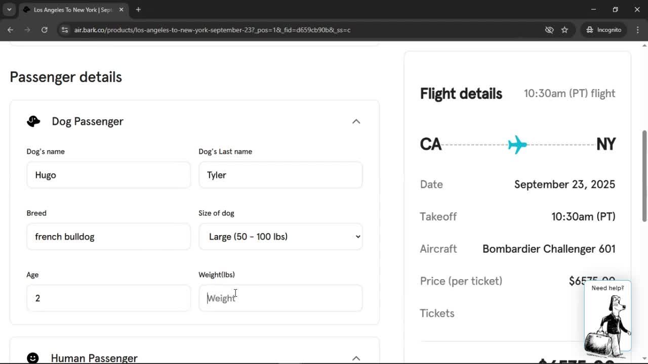 Booking a flight screenshot