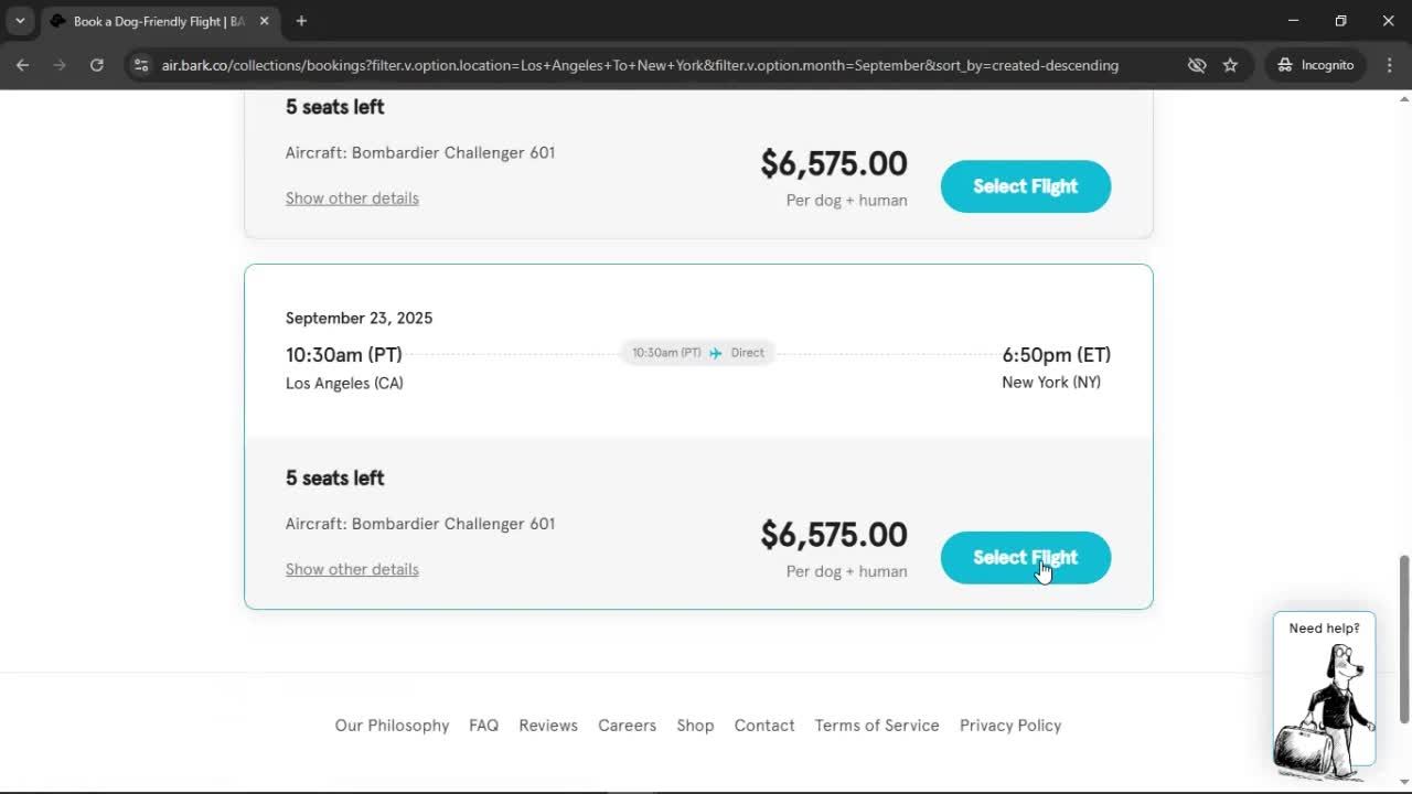 Booking a flight screenshot